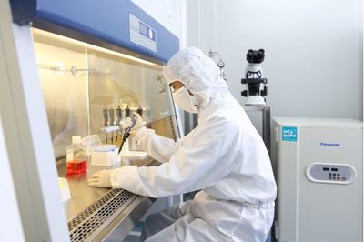 廣州市雷德生物科技 網(wǎng)絡(luò)技術(shù)研發(fā)及技術(shù)服務(wù)的創(chuàng)新實(shí)踐